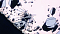 krauser230